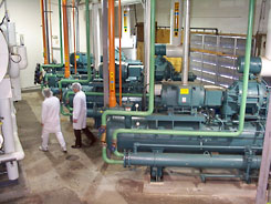 Ammonia Based Machine Room