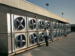 Thirteen 20 TR Room Cooling Colils