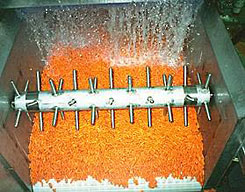 Baby carrot hydrocooler
